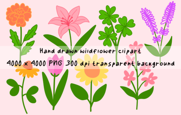 Download Aesthetic Hand Drawn Wildflower Clipart - Hand drawn Collection