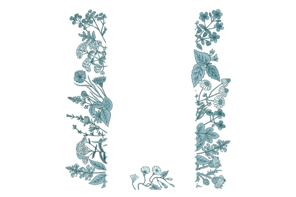 Download Floral Border with Hand Drawn Plants. De - Hand drawn Collection
